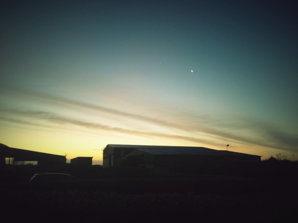 Irish Farm at Sunrise
